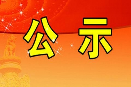 2020年東營魯辰產(chǎn)業(yè)發(fā)展有限公司定向招聘錄用人員公告